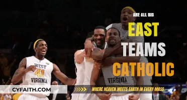 Big East Teams: Catholic or Not?