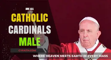 Are All Catholic Cardinals Male? Exploring Gender Roles in the Church