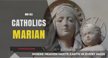 Are All Catholics Marian? Exploring Devotion to Mary in Catholicism