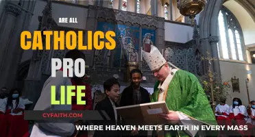 Are All Catholics Pro-Life? Exploring Diverse Beliefs and Perspectives