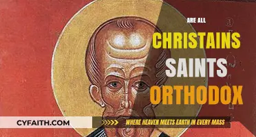 Are All Christians Saints? Exploring Orthodox Perspectives on Sainthood