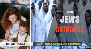 Are All Jews Orthodox? Exploring Diverse Jewish Practices and Beliefs