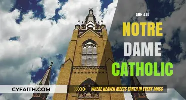 Are All Notre Dame Institutions Catholic? Exploring the Global Connection