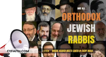 Are All Orthodox Jewish Rabbis Alike? Exploring Roles and Diversity