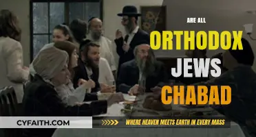 Are All Orthodox Jews Chabad? Exploring the Diversity Within Judaism