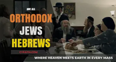 Are All Orthodox Jews Hebrews? Exploring Identity and Heritage