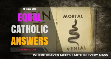 Sins: Catholic Views on Equality and Forgiveness
