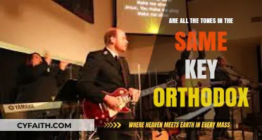 Are All Tones in the Same Key Orthodox? Exploring Musical Conventions