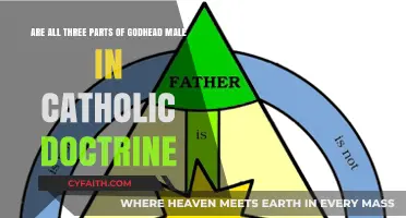 Is the Catholic Trinity Exclusively Male? Exploring Divine Gender Roles