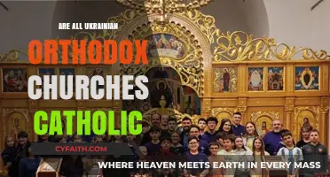Are Ukrainian Orthodox Churches Catholic? Exploring the Religious Divide