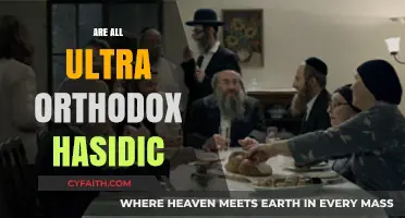 Are All Ultra-Orthodox Jews Hasidic? Exploring the Key Differences
