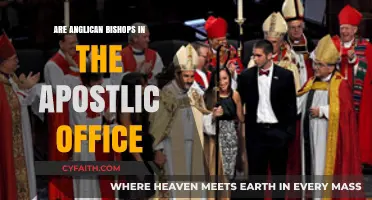 Are Anglican Bishops Truly in the Apostolic Office? Exploring the Debate