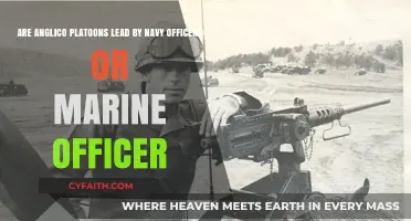 Anglico Platoons Leadership: Navy or Marine Officers in Command?