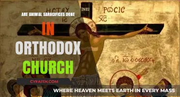 Animal Sacrifices in Orthodox Christianity: Fact or Misconception?