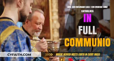 Antiochian Orthodox and Catholics: Are They in Full Communion?