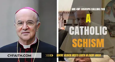 Who Are the Bishops Calling for a Catholic Schism?