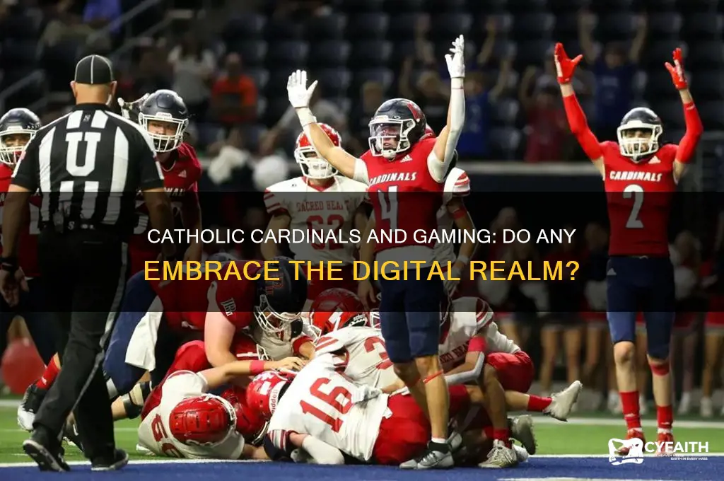 are any catholic cardinals gamers