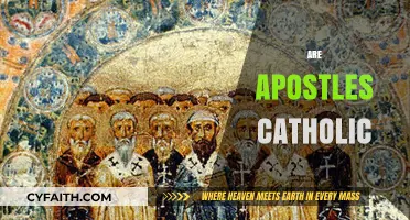 Are Apostles Catholic? Exploring the Historical and Theological Connection