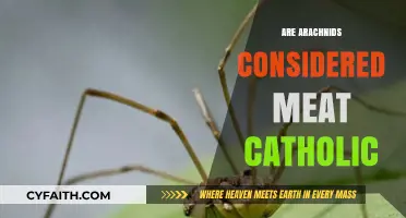 Are Arachnids Meat for Catholics? Exploring Religious Dietary Rules