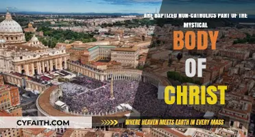 Baptized Non-Catholics: Members of Christ's Mystical Body?