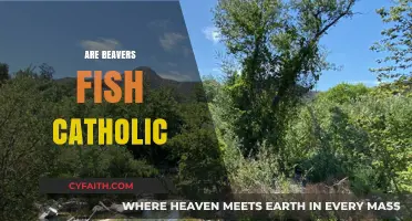 Are Beavers Fish? Catholic Perspectives on Aquatic Rodents Explained