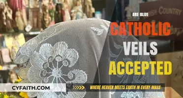 Are Blue Catholic Veils Accepted? Exploring Tradition and Modern Practice