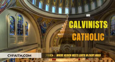 Calvinism vs. Catholicism: Exploring Theological Differences and Historical Connections