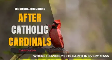 The Cardinal Bird: Catholic Cardinal Connection