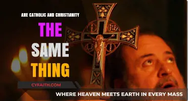 Christianity and Catholicism: What's the Difference?
