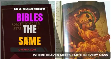 Catholic vs. Orthodox Bibles: Key Differences and Similarities Explained