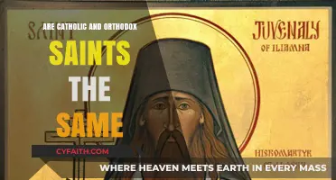 Catholic vs. Orthodox Saints: Shared Veneration, Distinct Traditions Explored