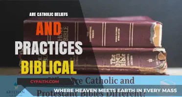 Catholic Beliefs: Biblical or Not?