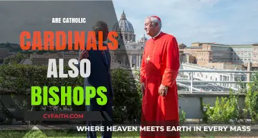 Are Catholic Cardinals Bishops? Exploring Their Roles and Hierarchy