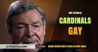 Exploring the Catholic Church's Stance on Cardinal Sexuality and Identity