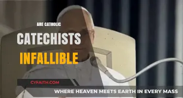 Are Catholic Catechists Infallible? Exploring Their Role and Limitations