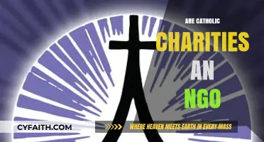 Are Catholic Charities NGOs? Exploring Their Role and Classification