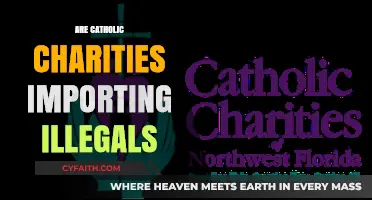 Catholic Charities and the Illegal Immigration Debate: Fact vs. Fiction