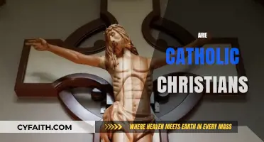 Are Catholic Christians? Exploring Faith, Identity, and Theological Unity