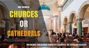 Catholic Churches vs. Cathedrals: Understanding the Key Differences