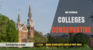 Are Catholic Colleges Conservative? Exploring Faith, Politics, and Education