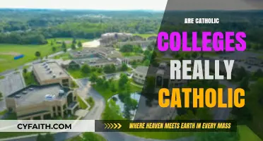 Are Catholic Colleges Still Faithfully Catholic? Exploring Identity and Mission