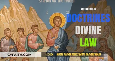Are Catholic Doctrines Divine Law? Exploring Faith, Authority, and Scripture