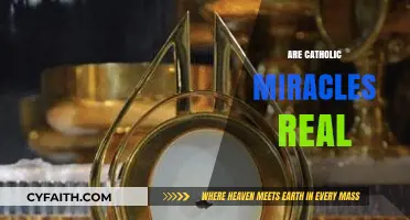 Are Catholic Miracles Real? Exploring Faith, Science, and Divine Intervention