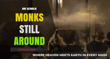 Do Catholic Monks Still Exist in Today's Modern World?