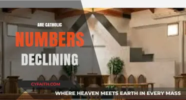 Catholic Church Membership: Analyzing the Trend of Declining Numbers
