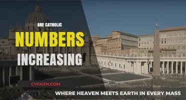 Catholic Population Growth: Trends and Factors Driving Recent Increases
