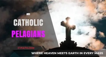 Are Catholic Teachings Pelagian? Exploring Grace, Free Will, and Salvation