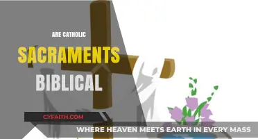 Are Catholic Sacraments Rooted in Scripture? A Biblical Examination