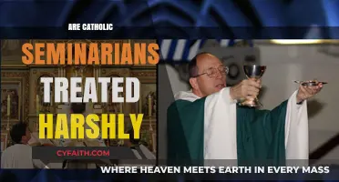 Are Catholic Seminarians Subjected to Harsh Treatment? Exploring the Reality