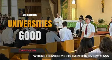 Are Catholic Universities Worth It? Exploring Academic Excellence and Values